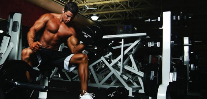 Guia basica para lograr un optimo desarrollo muscular