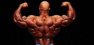 Lee más sobre el artículo Anatomía de los músculos de la espalda