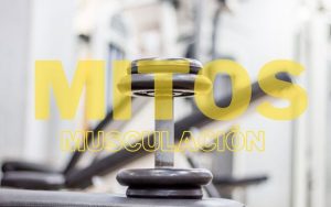 Lee más sobre el artículo Los 5 mitos más comunes acerca de la musculación