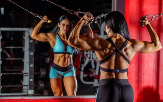 Por Qué Los Kilos De Dos Máquinas De Poleas No Siempre Son Comparables